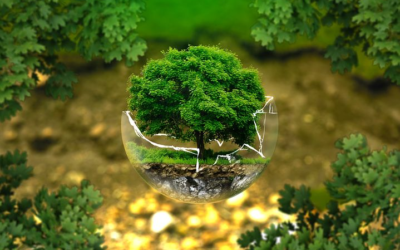 6 Ways Startups Can Make a Positive Environmental Impact