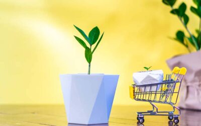 How Your Shopping Can Contribute to Sustainability Projects