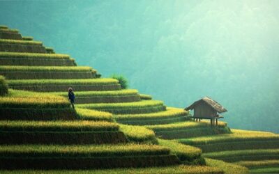 Embracing Eco-Freedom: Thriving in a Sustainable, Ecology-Focused Lifestyle