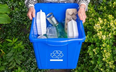 Microplastics: Hidden Pollutants in Our Homes and How to Reduce Them