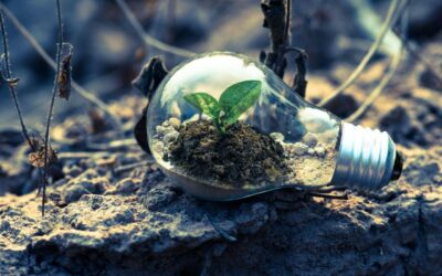 How Technology is Helping Earth, Animals, and Humans
