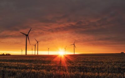 How to Make Money on Stocks of Renewable Energy Companies