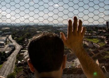 the population is moving to cities, and nature is suffering ... 